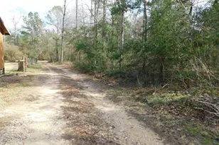 537 Roscoe, Livingston, TX 77351 - Photo 21