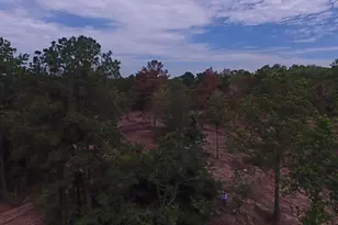 12939 Rose Rd, Willis, TX 77378 - Photo 7