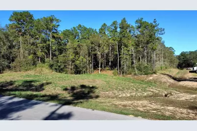 435 County Road 6324, Dayton, TX 77535 - Photo 3