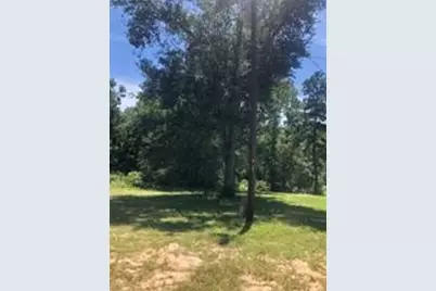 390 Story Drive, Livingston, TX 77351 - Photo 3