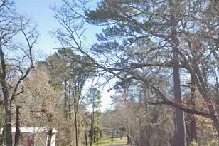 0 Forest Hill Dr, Frankston, TX 75763 - Photo 3