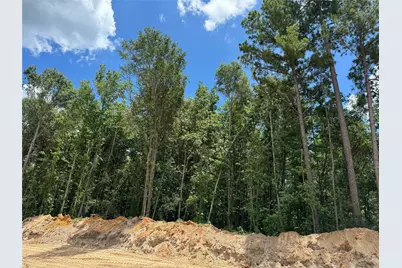 227 Eden Court, New Waverly, TX 77358 - Photo 9