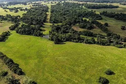 60 Acres Petri Lane, Madisonville, TX 77864 - Photo 7