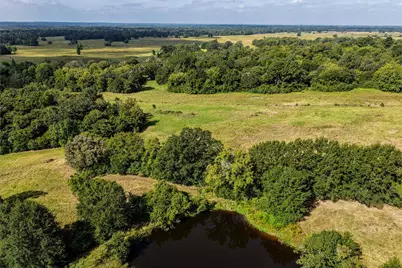 60 Acres Petri Lane, Madisonville, TX 77864 - Photo 9