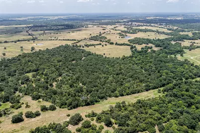 60 Acres Petri Lane, Madisonville, TX 77864 - Photo 3
