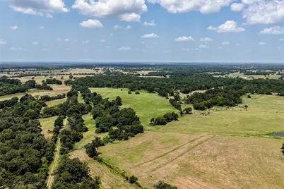 60 Acres Petri Lane, Madisonville, TX 77864 - Photo 11