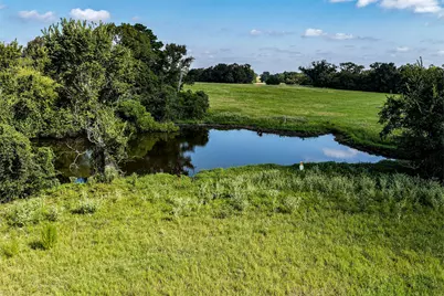 60 Acres Petri Lane, Madisonville, TX 77864 - Photo 5