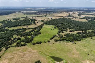 60 Acres Petri Ln, Madisonville, TX 77864 - Photo 1