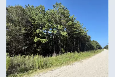 Tract 51 Black Cat Road, Sour Lake, TX 77659 - Photo 1