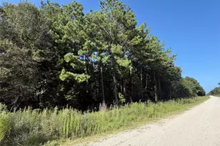 Tract 51 Black Cat Rd, Sour Lake, TX 77659 - Photo 1