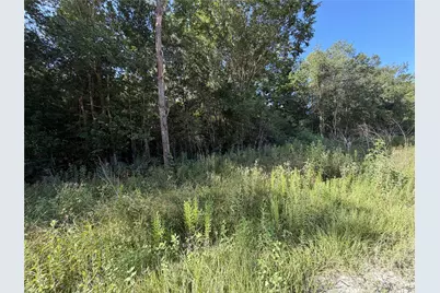 Tract 51 Black Cat Road, Sour Lake, TX 77659 - Photo 3