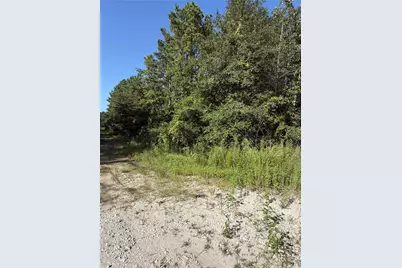 Tract 51 Black Cat Road, Sour Lake, TX 77659 - Photo 9