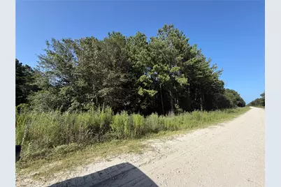 Tract 51 Black Cat Road, Sour Lake, TX 77659 - Photo 5