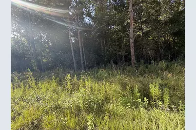 Tract 51 Black Cat Road, Sour Lake, TX 77659 - Photo 7