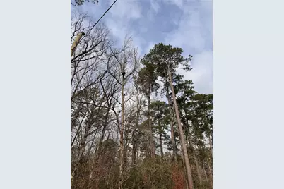 121 Indian Creek Cir Circle, Willis, TX 77378 - Photo 5