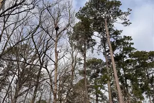 121 Indian Creek Cir Circle, Willis, TX 77378 - Photo 5