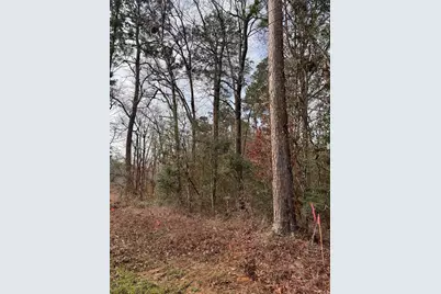 121 Indian Creek Cir Circle, Willis, TX 77378 - Photo 9