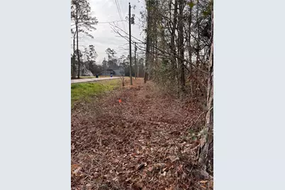 121 Indian Creek Cir Circle, Willis, TX 77378 - Photo 7