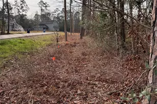 121 Indian Creek Cir Circle, Willis, TX 77378 - Photo 7