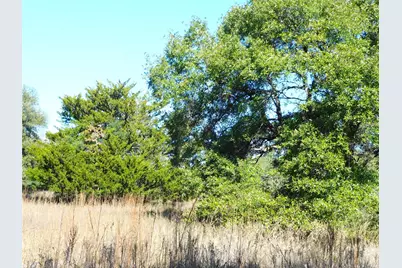 11145 Mt Falls School Road, Washington, TX 77880 - Photo 5