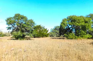 11200 Mt Falls School Rd, Washington, TX 77880 - Photo 1