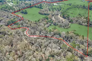 14670 Willis Waukegan Rd, Conroe, TX 77303 - Photo 11