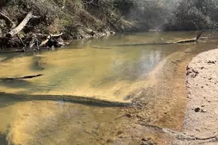 14670 Willis Waukegan Rd, Conroe, TX 77303 - Photo 19