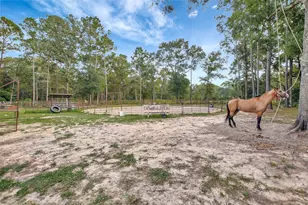 10677 Fm 2432 Rd, Conroe, TX 77303 - Photo 3