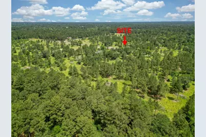 31862 Boone Road, Waller, TX 77484 - Photo 3