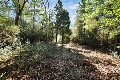 896 Pr 1318, Centerville, TX 75833 - Photo 9