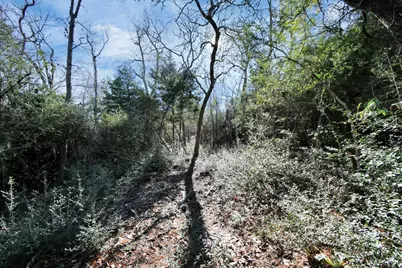 896 Pr 1318, Centerville, TX 75833 - Photo 11