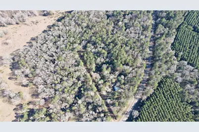000 Fm 2798, Livingston, TX 77351 - Photo 3
