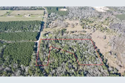 000 Fm 2798, Livingston, TX 77351 - Photo 1