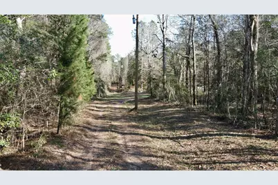 000 Fm 2798, Livingston, TX 77351 - Photo 11