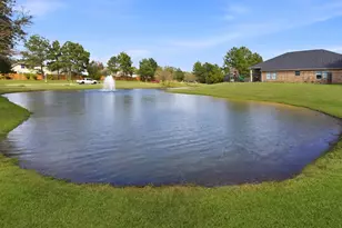 31039 Sundance Woods Ct, Spring, TX 77386 - Photo 47