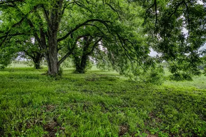 16401 Fm 1155 E, Washington, TX 77880 - Photo 21