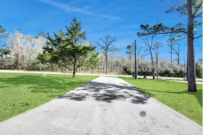 16419 Old Coach Road, Stagecoach, TX 77355 - Photo 5