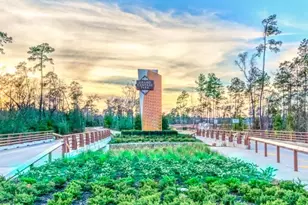 218 Sierra Strm Ln, Conroe, TX 77304 - Photo 21