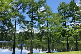 218 Sierra Strm Ln, Conroe, TX 77304 - Photo 29