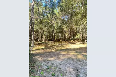24445 Pipestem Drive, Magnolia, TX 77355 - Photo 5