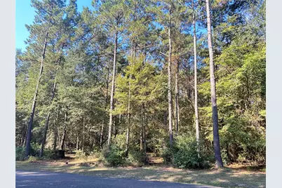 24445 Pipestem Drive, Magnolia, TX 77355 - Photo 3