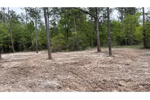 00000 Langham, Kountze, TX 77625 - Photo 1