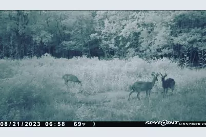 00000 Langham, Kountze, TX 77625 - Photo 9