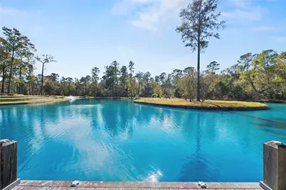 38262 Windy Ridge Trail, Magnolia, TX 77355 - Photo 41