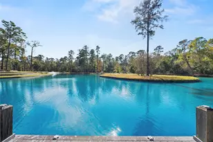 38262 Windy Ridge Trail, Magnolia, TX 77355 - Photo 41