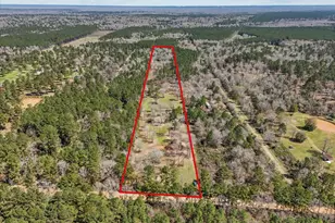 1151 County Line Rd, Shepherd, TX 77371 - Photo 3