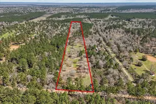 1151 County Line Rd, Shepherd, TX 77371 - Photo 3
