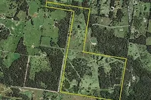 6125 Crane Ln, North Zulch, TX 77872 - Photo 1