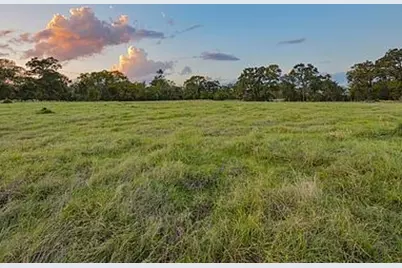 6125 Crane Lane, North Zulch, TX 77872 - Photo 7