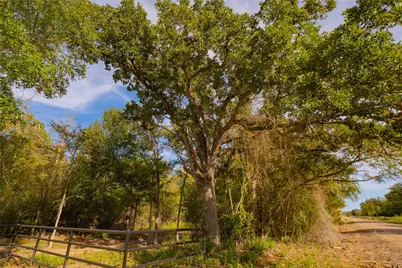 12504 Red Hill Rd, Hearne, TX 77859 - Photo 7